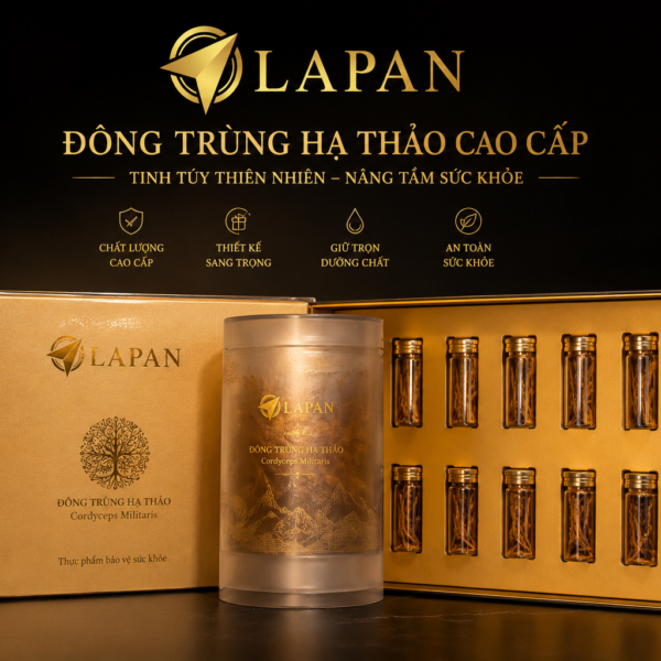 Hình ảnh giới thiệu bộ sản phẩm đông trùng hạ thảo cao cấp LAPAN với thiết kế hộp quà tông đen – vàng sang trọng, tạo cảm giác premium và phù hợp làm quà biếu sức khỏe. Sản phẩm được đặt trong các lọ trong suốt nắp vàng, giúp nhìn rõ đông trùng hạ thảo bên trong, tăng độ tin cậy và giá trị cảm quan.